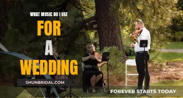 Music for Your Wedding: A Guide to Selecting Songs