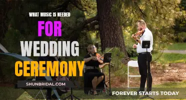 Music for Your Wedding: Setting the Perfect Tone