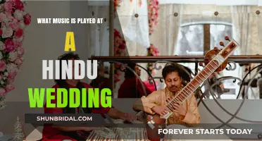 Melodies of Love: Exploring Traditional Music at Hindu Weddings