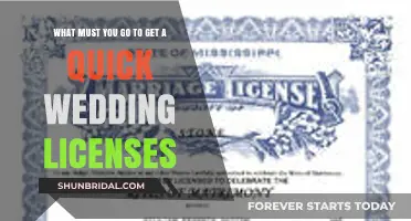 Quick Wedding Licenses: Essential Steps for a Fast Marriage Permit