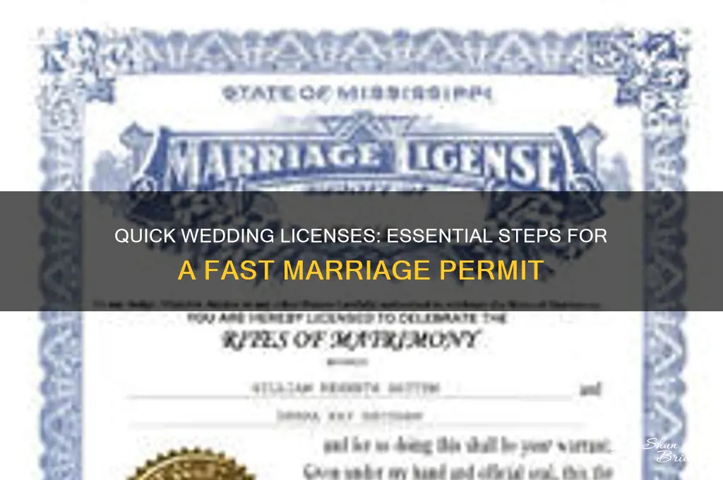 what must you go to get a quick wedding licenses
