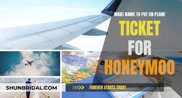 Honeymoon Travel: Choosing the Perfect Name for Your Plane Ticket