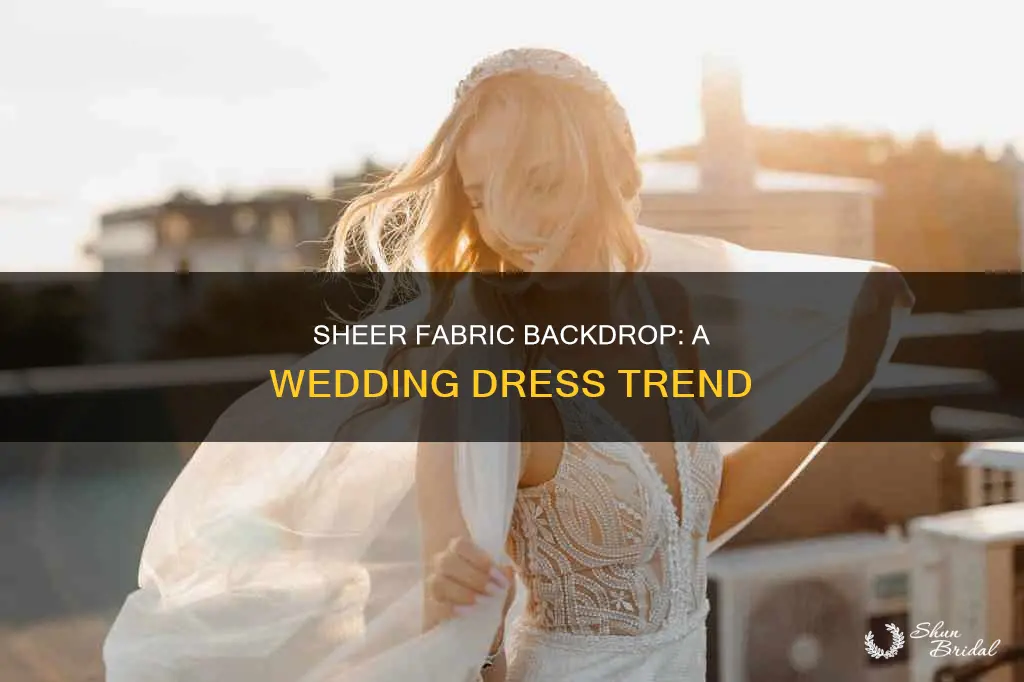 what name very sheer fabric back wedding dress
