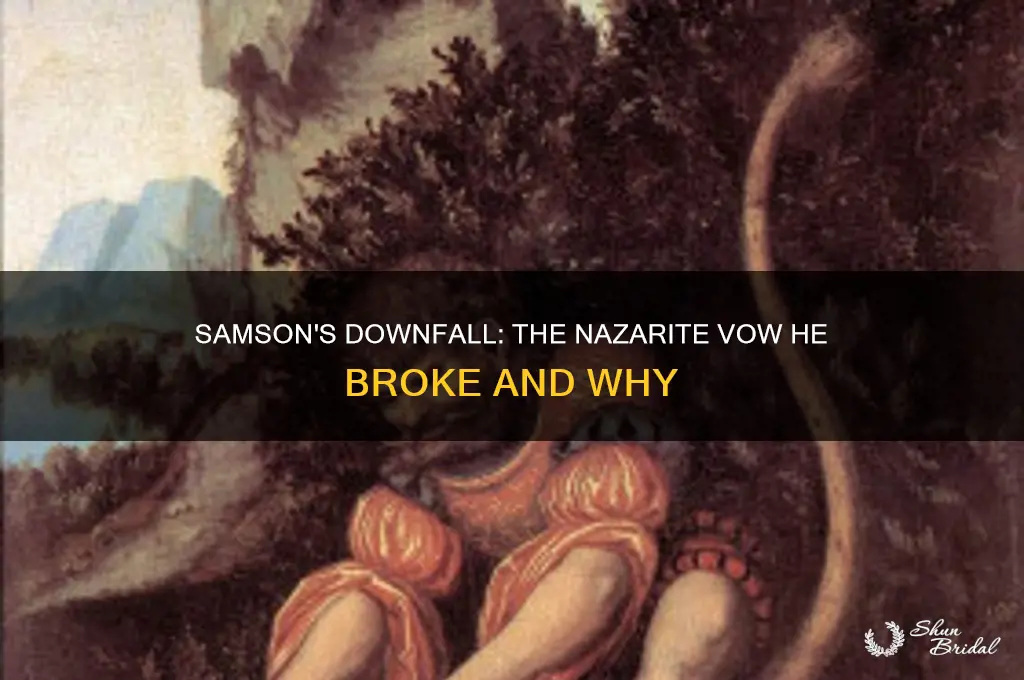 what nazarite vow did samson break