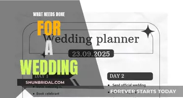 Planning a Wedding: What You Need to Know