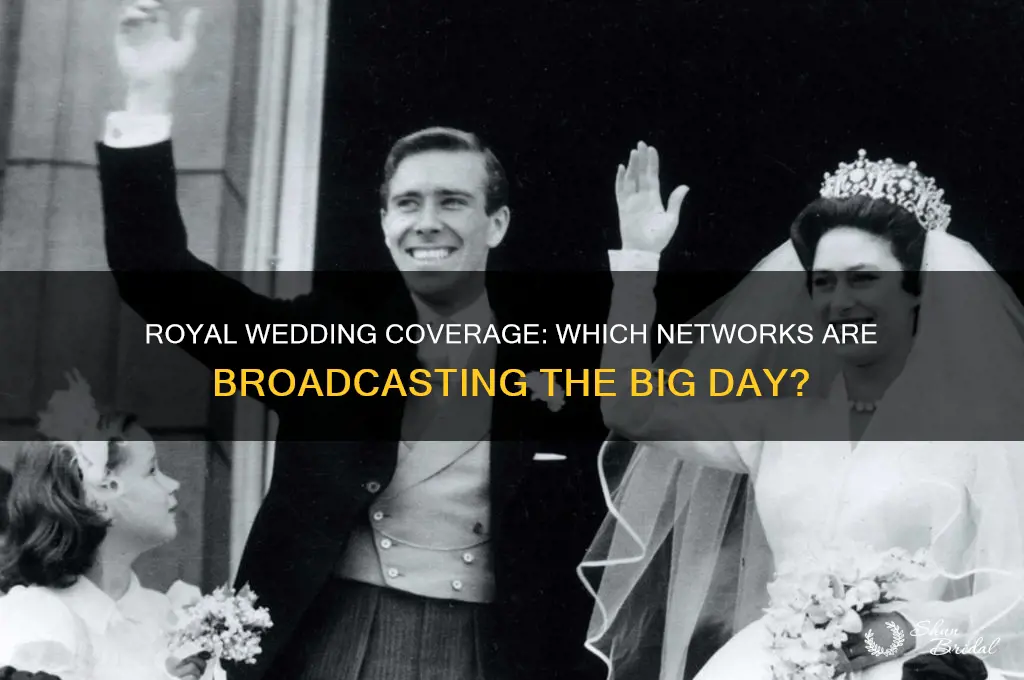 what network covering royal wedding