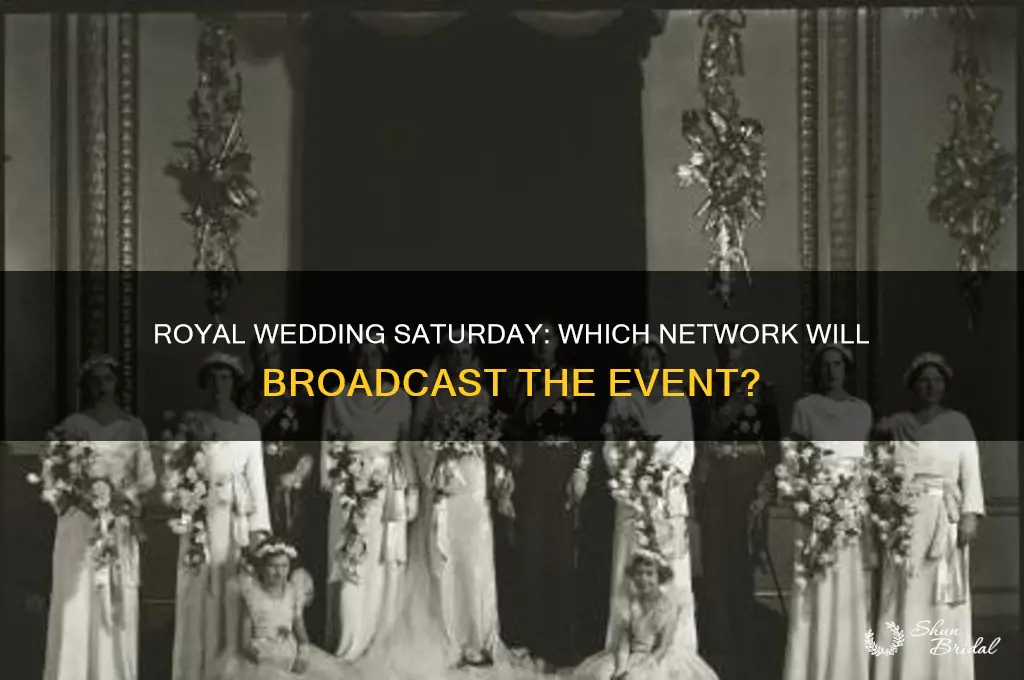 what network is the royal wedding on saturday