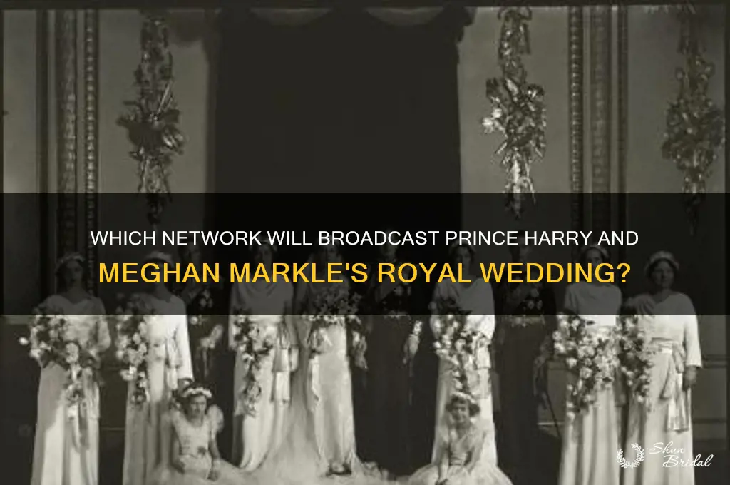 what network will reair the royal wedding