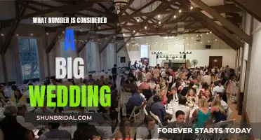 Big Wedding, Small Number: Redefining the Intimate Celebration