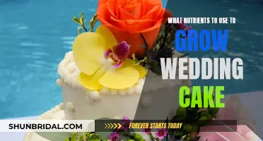 Wedding Cake Cultivation: Nutrient Secrets for Success