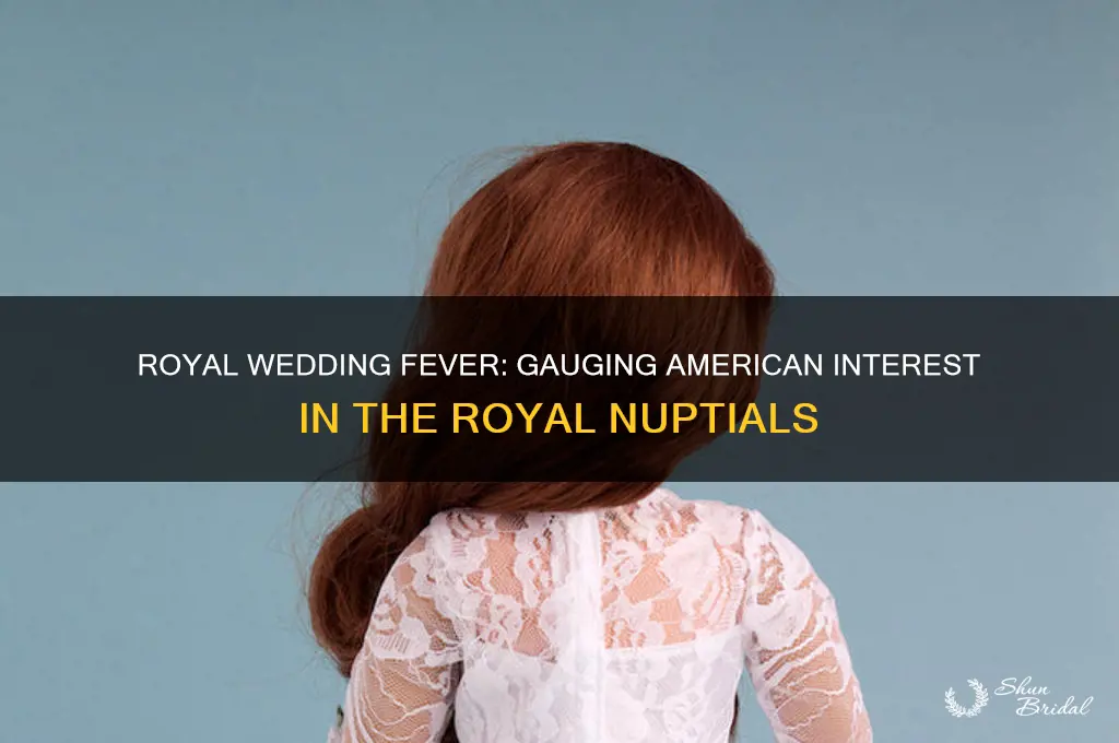 what of americans are interested in the royal wedding
