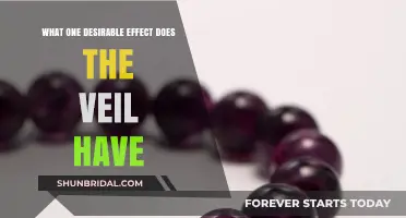 The Veil's Surprising Benefit: Enhancing Focus and Reducing Distractions
