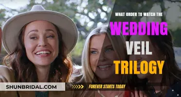 The Wedding Veil Trilogy: Ultimate Viewing Order Guide for Fans