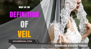 Understanding the Veil: Definition, Significance, and Cultural Context Explained