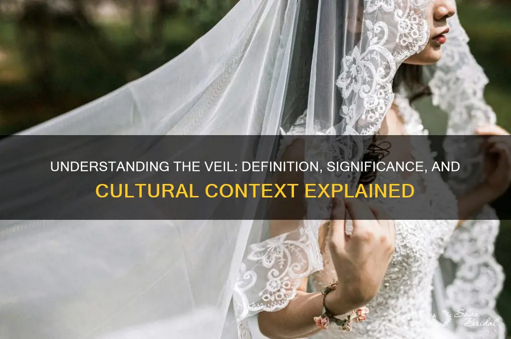 what os the definition of veil