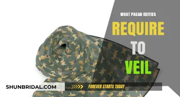 Veiling Rituals: Pagan Deities' Sacred Requirements for Spiritual Concealment