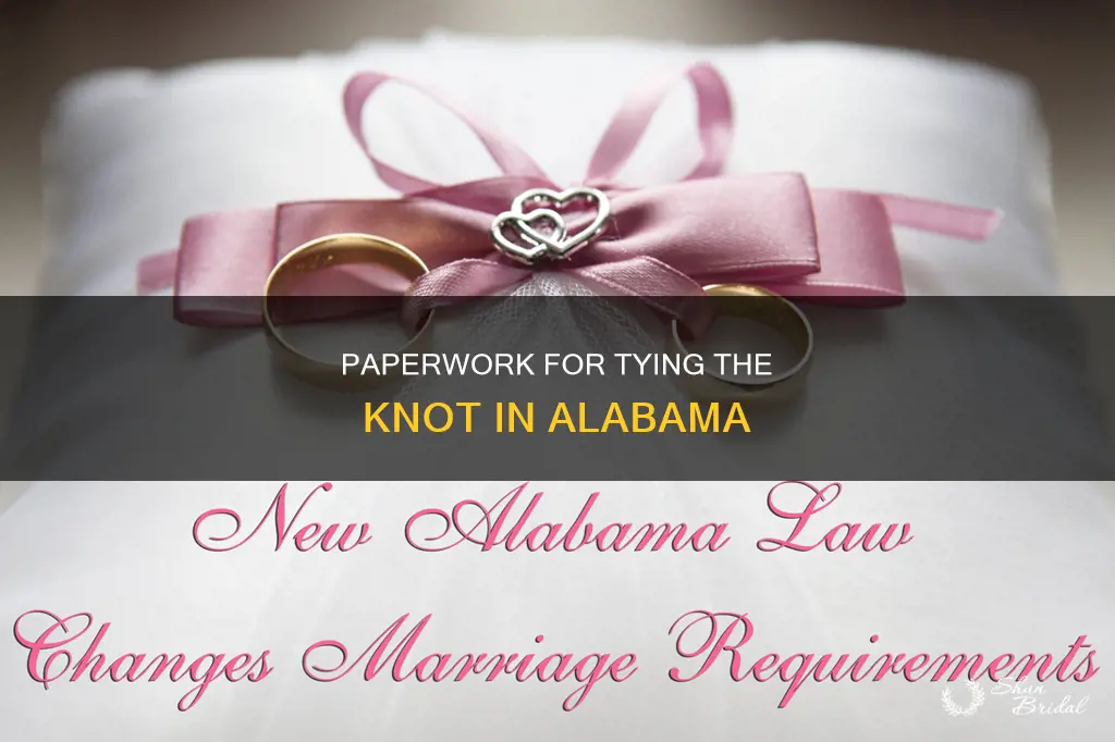 what paperwork needed to perform wedding in alabama