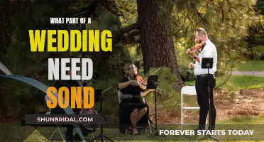 Music and Wedding Bliss: Where to Incorporate Melodies