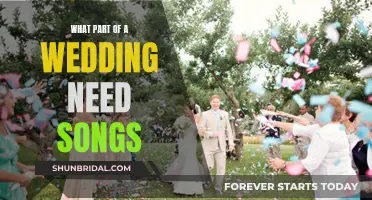 Music and Merriment: Essential Wedding Song Moments