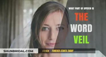 Understanding the Part of Speech: Is 'Veil' a Noun or Verb?