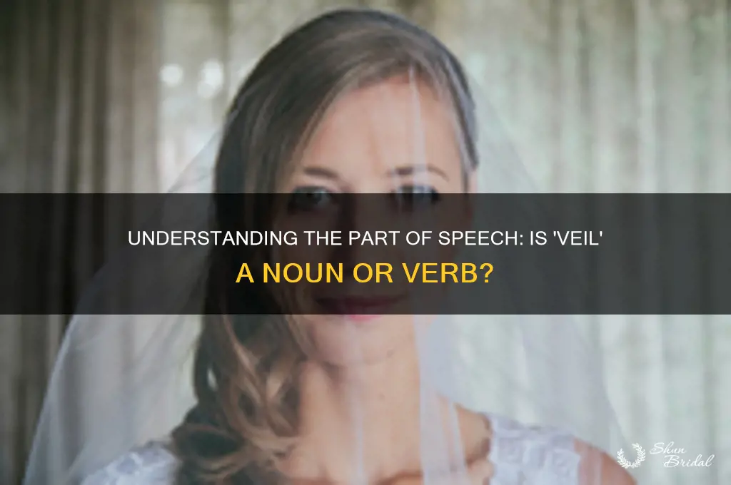 what part of speech is the word veil