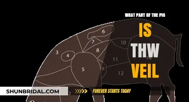 Understanding the Pig's Veil: A Guide to This Unique Cut
