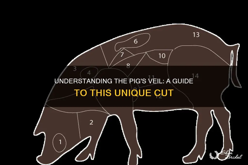 what part of the pig is thw veil