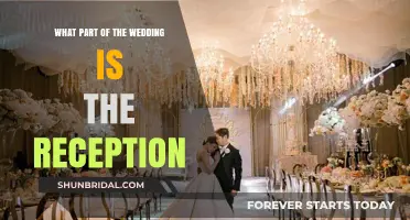 The Wedding Reception: A Guide to the Celebration
