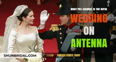 Royal Wedding on PBS: Antenna Channel Guide for Viewers