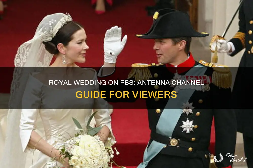 what pbs channel is the royal wedding on antenna