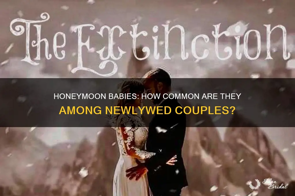 what percentage of couples have honeymoon babiee