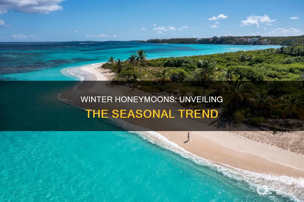 what percentage of couples honeymoon in winter