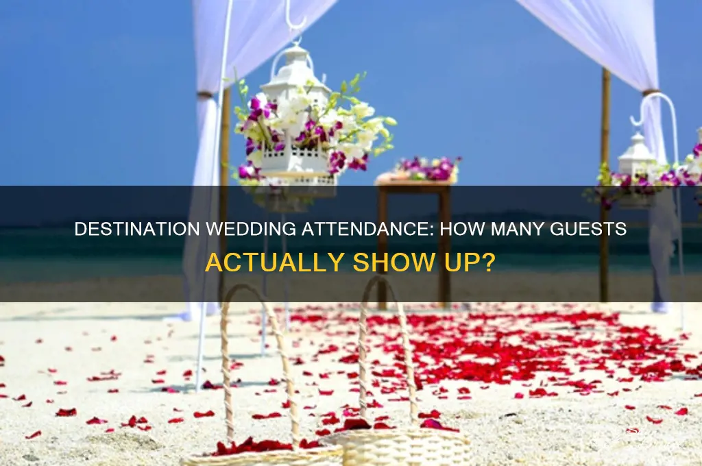 what percentage of guests come to a destination wedding