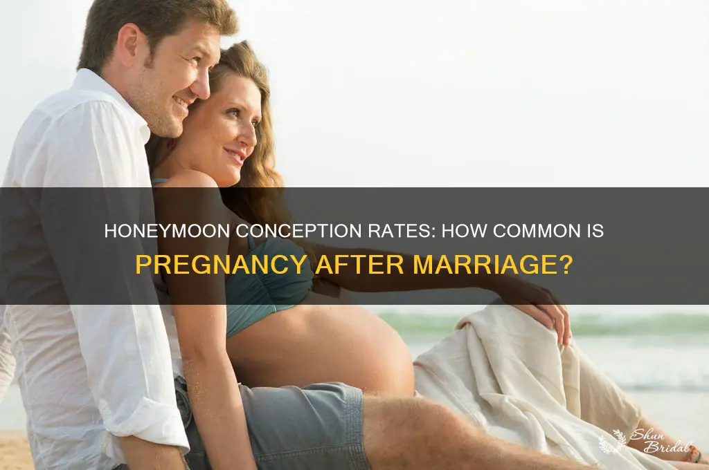 what percentage of people get pregnant on honeymoon