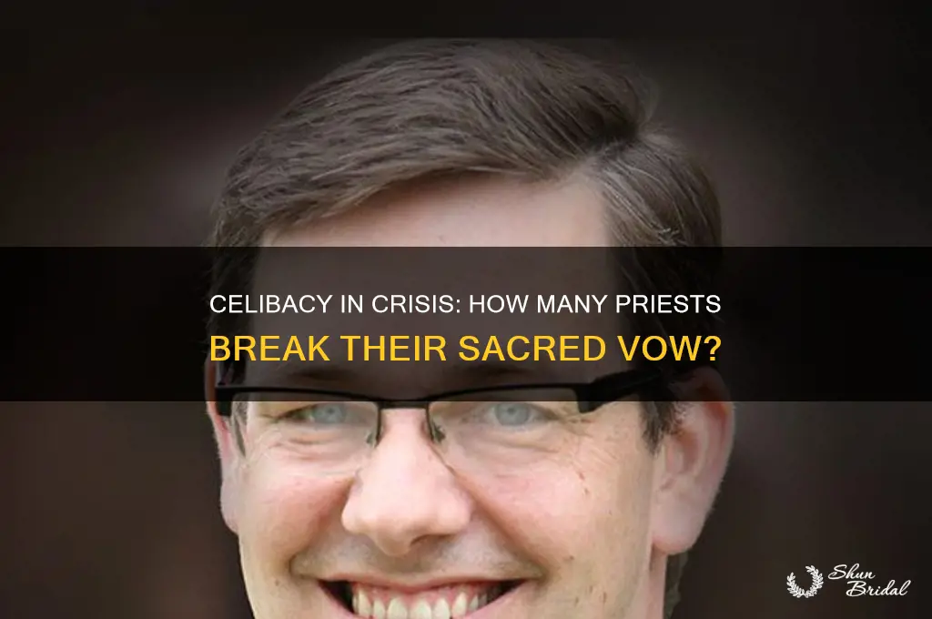 what percentage of priests break their vow of celibacy