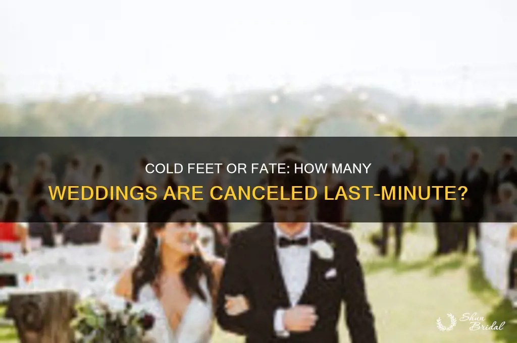 what percentage of weddings get called off on the day