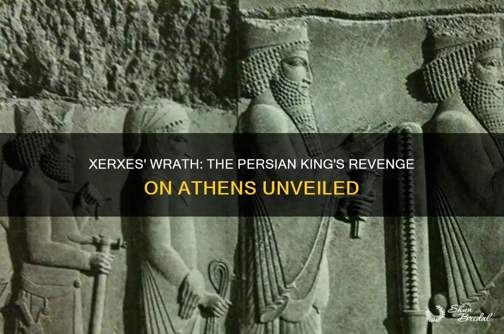 what persian king vowed revenge on the athenians
