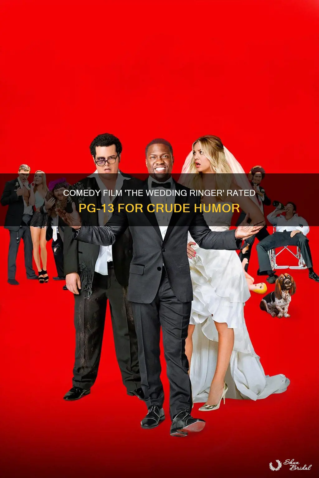 what pg is the wedding ringer