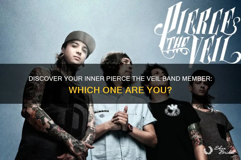 what pierce the veil band member are you