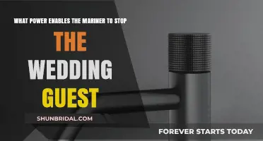 The Mariner's Hypnotic Power: Halting the Wedding Guest in His Tracks