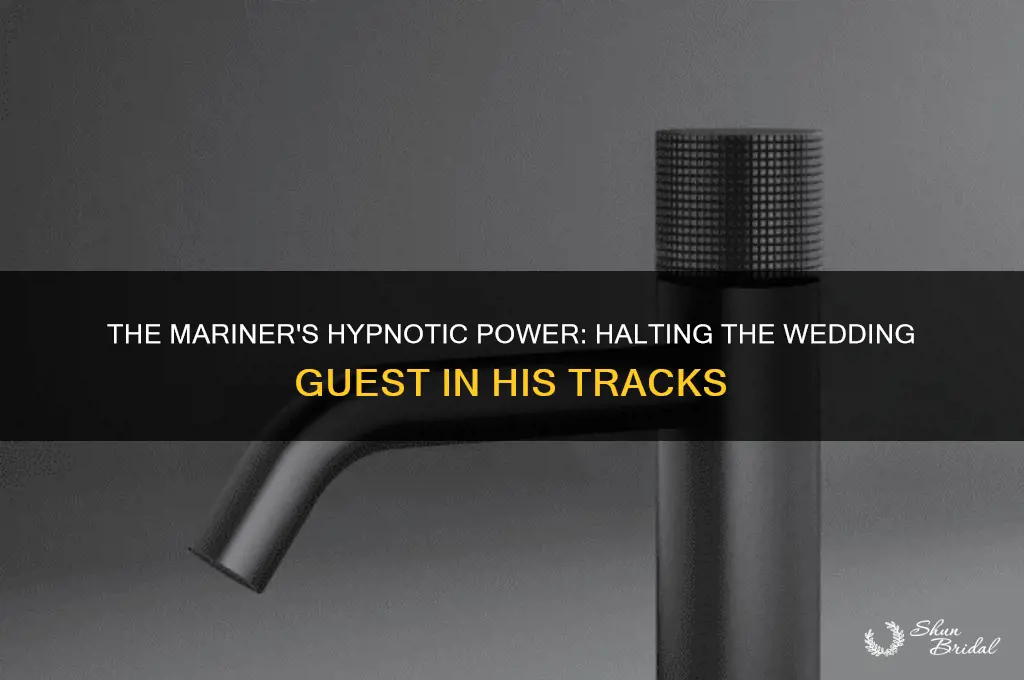 what power enables the mariner to stop the wedding guest