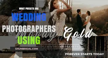 Trending Presets for Wedding Photographers
