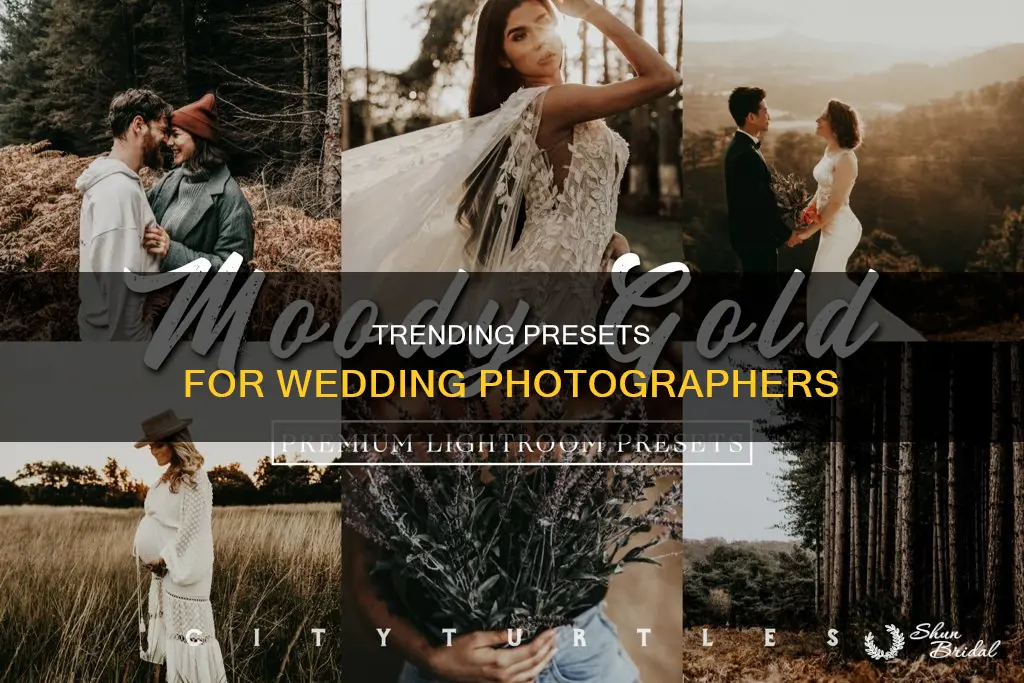 what presets are wedding photographers using
