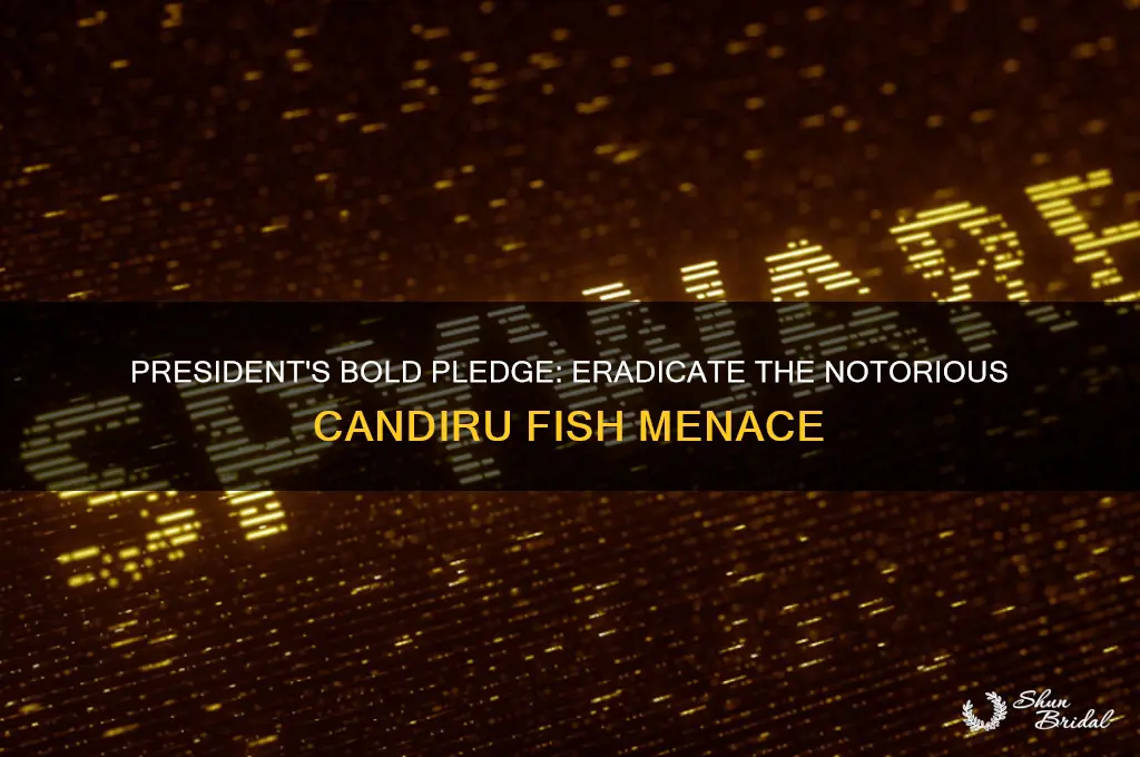 what president vowed to destroy candiru