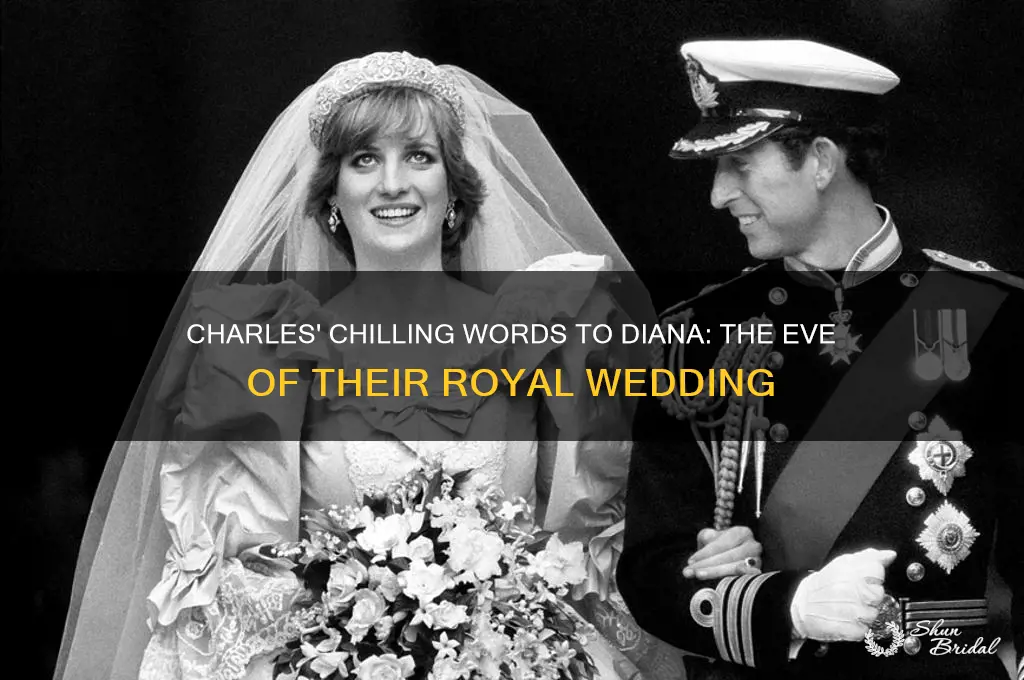 what prince charles told diana the night before their wedding