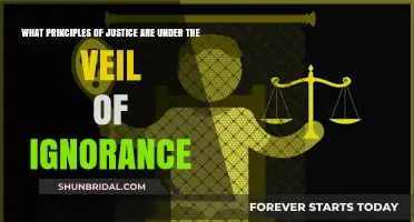 Veil of Ignorance: Unveiling Principles of Fair Justice for All