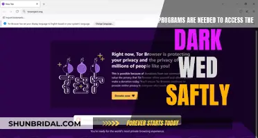 Safely Accessing the Dark Web: Essential Programs Guide