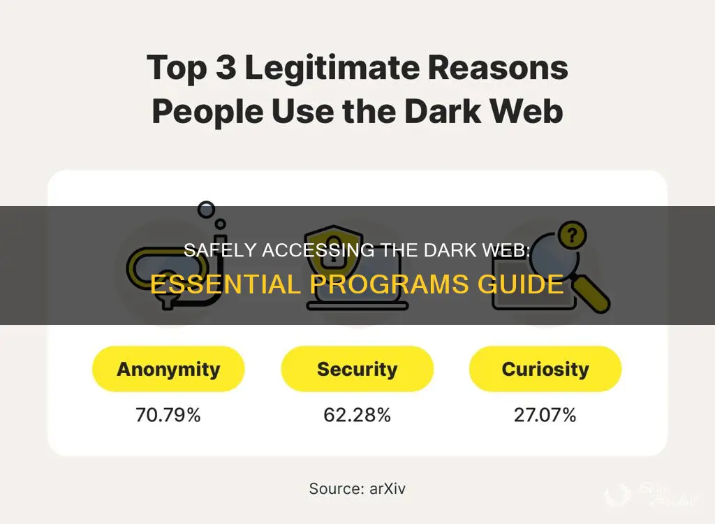 what programs are needed to access the dark wed saftly