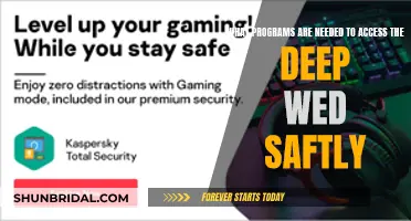 How to Safely Access the Deep Web