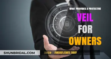 Limited Liability: The Protective Veil Shielding Business Owners from Risk